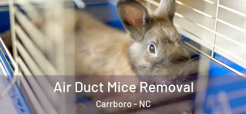 Air Duct Mice Removal Carrboro - NC
