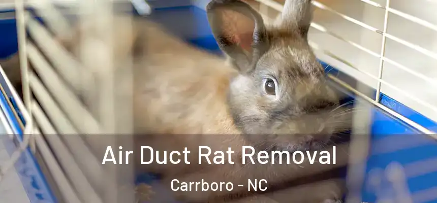 Air Duct Rat Removal Carrboro - NC