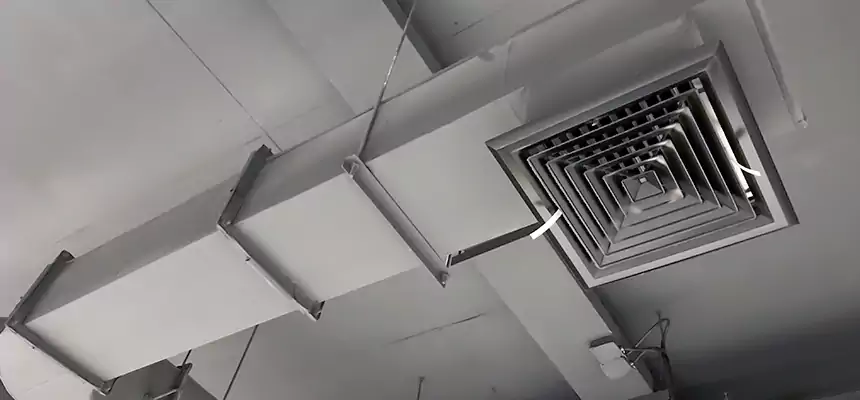 Our Pest Removal From Ducts Services in Carrboro, NC