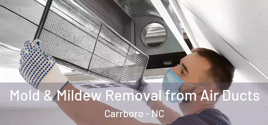  Mold & Mildew Removal from Air Ducts Carrboro - NC