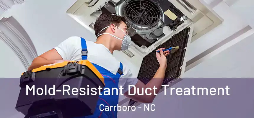  Mold-Resistant Duct Treatment Carrboro - NC