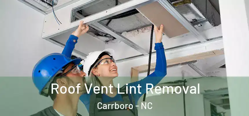 Roof Vent Lint Removal Carrboro - NC