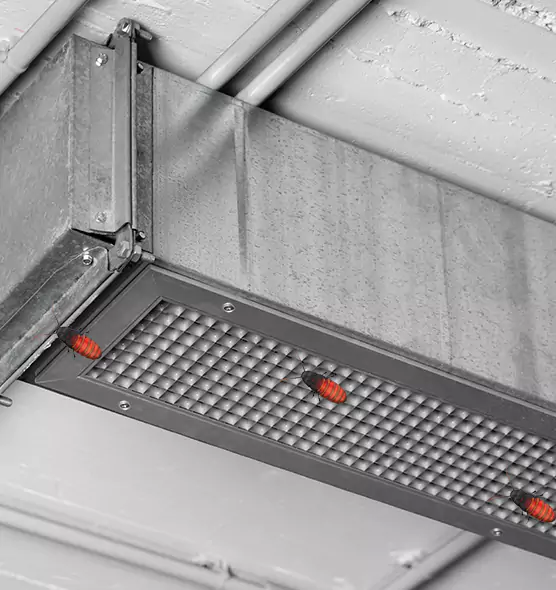 About Air Duct Cockroach Removal in Carrboro, NC