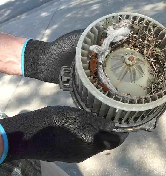 About Air Duct Mice Removal in Carrboro, NC