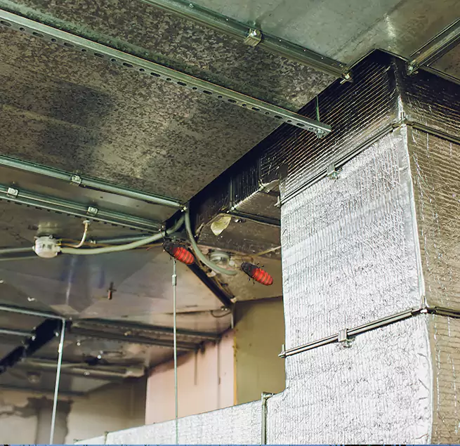 Why Homeowners & Businesses Trust Us in Carrboro, NC?