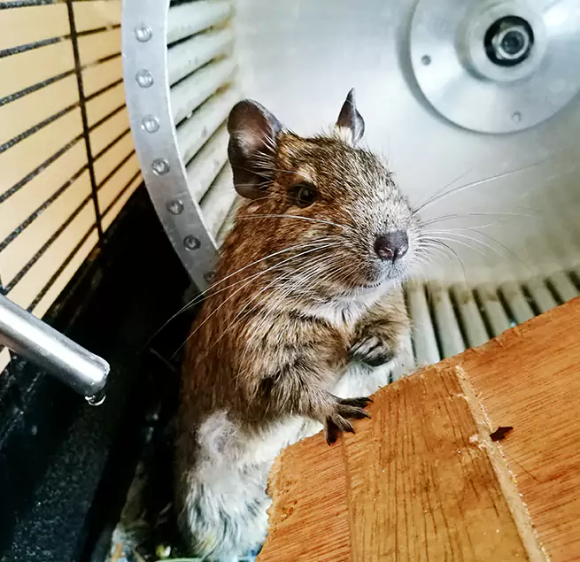 Why Homeowners & Businesses Trust Us Carrboro, NC