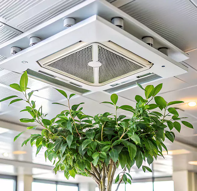 Why Homeowners & Businesses Trust Us in Carrboro, NC?